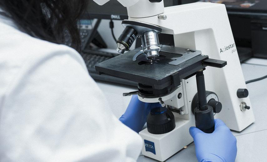 Цитоморфологические исследования в Киеве